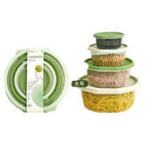 Dried fruit storage box refrigerator special crisper food grade microwaveable home lunch fruit box kitchen storage ice