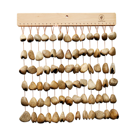 Handmade Nutshell Bell Hand Rattle Sound Therapy