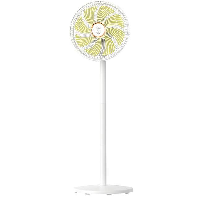 DC variable frequency floor fan high-wind shaking head electric fan