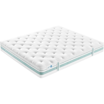 Lins Home Matelas en latex naturel thaïlandais protection de la colonne vertébrale tapis de cocotier ressort domestique tapis doux et dur Lins Wood Industry