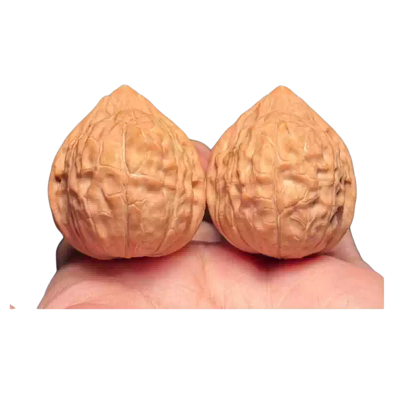 希少文玩核桃 亀甲紋 精品文玩核桃龜甲紋35天然野生小尺寸女古玩手把件