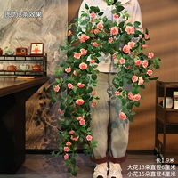 Пастырская розовая трость розовый