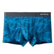 Septwolves Mens Ice Silk Underwear Summer Thin Boxer Shorts Youth Seamless Cool Sports Boxer Briefs