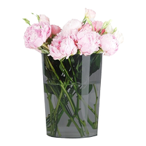 Wakeup Bucket Home Fag Style Deep Water Professional Vase Fleurs Flower Flower Arrangement Flower Silo Plastic Acrylic Flower Shop Spécial