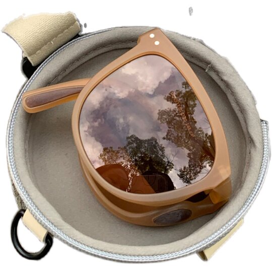 Folding sunglasses for women ins 2025