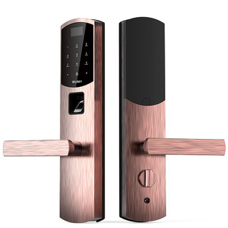 Iot sensing dongting lake network app smart door lock