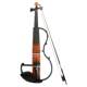 Professional pursuit electroacoustic advanced violin
