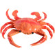 Soft rubber pinch and cry lobster teaching aid animal model