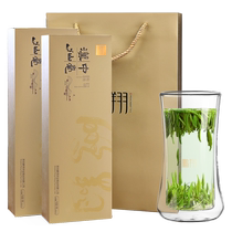 2023 New Tea Pengxiang Han Zhongxian Xianxi Special Meridian Capitals Meridian Nestle Stir-fried Green Cloud Foggy Green Tea Tete 200g