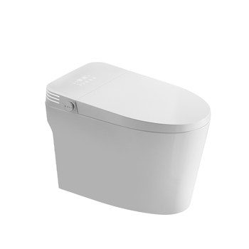 Chaozhou pai smart toilet