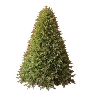 2025新款纯PE大型发光圣诞树家用客厅室内摆件圣诞装饰品裸树套餐