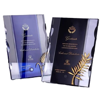 Crystal trophy medal customized certificate award senior authorized plate honor plaque agent dealer souvenir