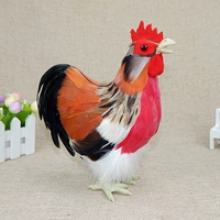 №3 смотрит прямо на член с открытым ртом-22*20-красный живот