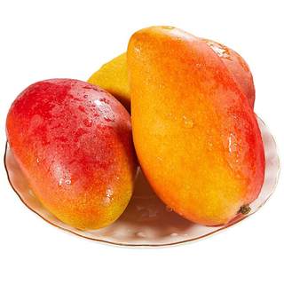Hainan Guifei Mang 10 catties Mango Fresh Water Fruit Box should be cooked red golden dragons on the seasonal tropical tree
