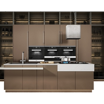 Sophia cabinet customization kitchen stove cabinet cabinet integrated kitchen integrated cabinet kitchen cabinet integrated cabinet customization