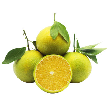 Authentic deqing tribute tangerine, emperor tangerine, seasonal fresh fruit boutique, bursting with sweetness, pure sweetness, large fruit, freshly picked and grown