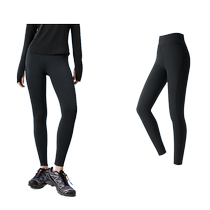Jiaoxia 532 leggings womens autumn high-elasticity comfortable slimming sports shark pants shaping buttocks outerwear for yoga