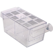 Guppy breeding box acrylic isolation box fish tank small fish fry anchovy hatching box suspended incubator