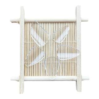 成人儿童入门琵琶指甲专业考级演奏透明赛璐璐义甲玳瑁色初学中号