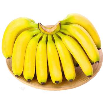 Now picked guangxi millet banana seasonal fresh fruit 9jin jin is equal to 0.5kg. whole box naturally ripened 1jin jin is equal to 0.5kg/2/5jin jin is equal to 0.5kg. apple banana pink banana