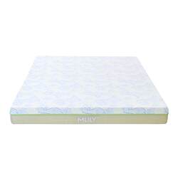 Dream Lily Children's Mattress Tatami Spring Memory Foam Protects the Spine of Teenagers and Students the Wizard of oz