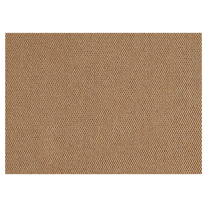 Anti-cat scratch living room bedroom bedside carpet
