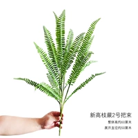 Новая высокая филиала папоротник № 2