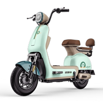 Luyuan 48v24a new national standard long-range electric bicycle COLA5 adult men and women transportation to pick up children battery car