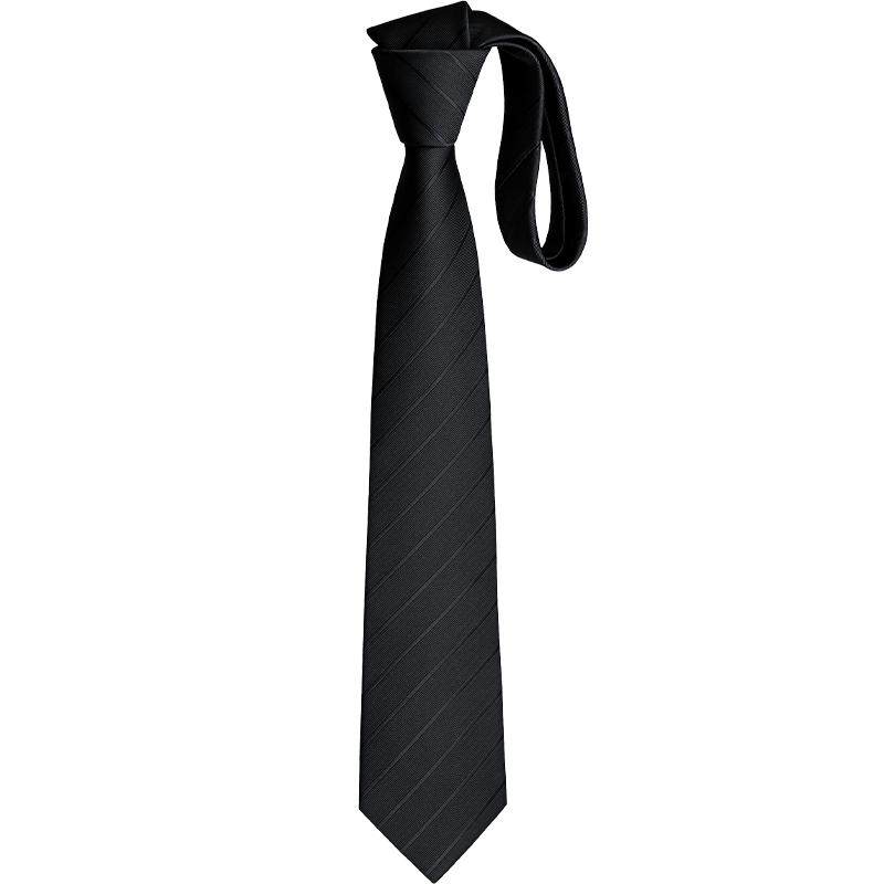 Heilan House Men's Tie Business Formal Black