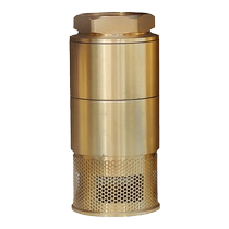 Double door bottom valve tanker bottom valve 1 inch 1 5 inch 2 inch bottom valve oil tank DN40 double door check valve copper filter