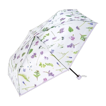 Wpc plantica Huayang co-branded transparent umbrella small fresh floral folding umbrella compact portable and easy to store