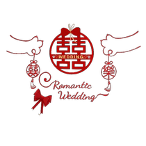 Wedding room decoration door door happy stickers wedding new house wedding high-end room womans bedroom happy stickers 囍