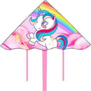 Rainbow 2025 new kite is easy to fly