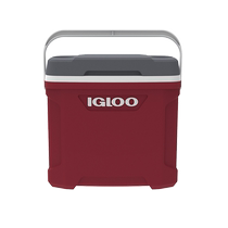 (Self-operated) IGLOO insulated box outdoor car refrigerator medical breast milk cold chain refrigerator food preservation 28L