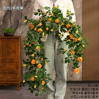 Бриллиантовая розовая тростника апельсина