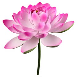 Ying Furongyu는 Lotus Dance Props를 보유하고 있습니다