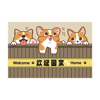 Xinglianxin cartoon no-wash entrance door floor mat