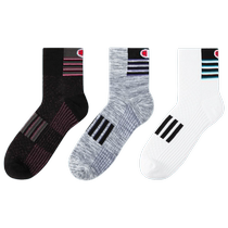 Champion Champion LOGO Socks 2024 Summer New Fashion Long Socks Mid-Tube Mens Casual Comfortable Trendy