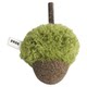 Cat Toy Teething Stick Wooden Polygonum Cat Mint