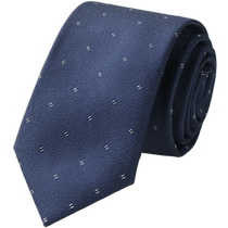 HLA Heilan House Arrow-shaped Tie 2024 New Business Exquisite Pattern Fashion Full and Bright Tie for Men