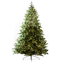 igood Home Villa Shopping Mall Christmas Tree 2024 New 2 1m Meter Environmentally Friendly Luminous Large Encrypted Simulation Tree
