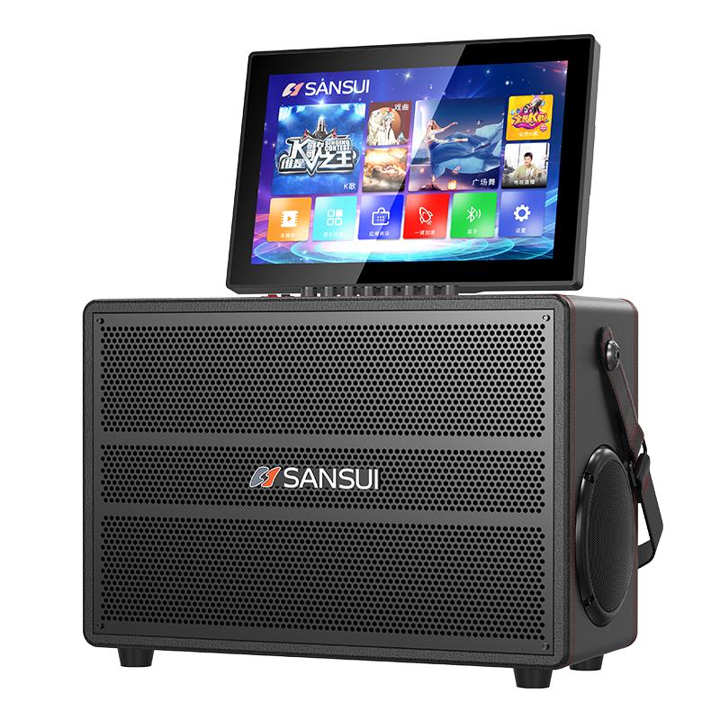 Shanshui family ktv audio set outdoor karaoke speaker
