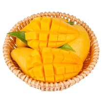 Authentic Hainan Jinhuangmang 10kg narcissus mango first-class large fruit seasonal fresh fruit freshly picked yellow skin full box