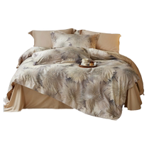 Mercury Home Textiles 60S brushed four-piece antibacterial set satin bed sheet quilt cover warm bedding 24 years new product