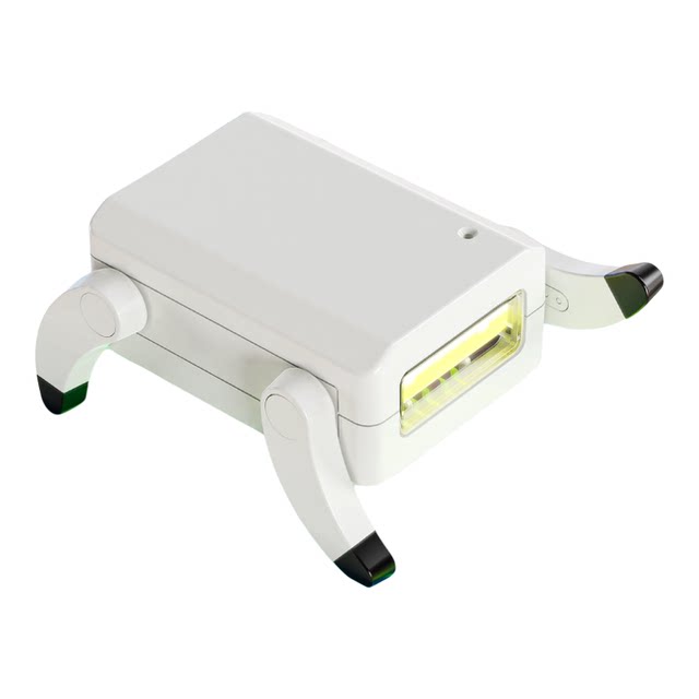 Robot Electronic Pet Toy Bean Bag Voice