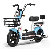 2024 new new national standard electric vehicles can be registered power-assisted electric bicycles for men and women small adult battery vehicles