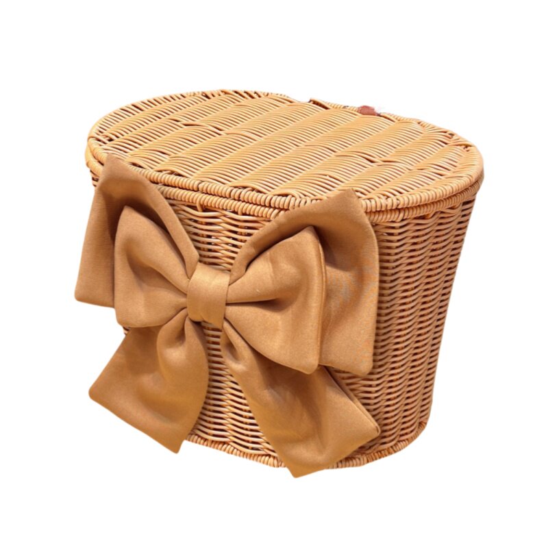 Large-capacity storage basket for electric vehicle rear basket
