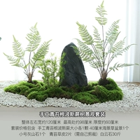 Пейзажный набор с корнем мха ручной работы, персидским папоротником и деревом