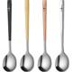Three and four steel one person one color high-value exquisite spoon