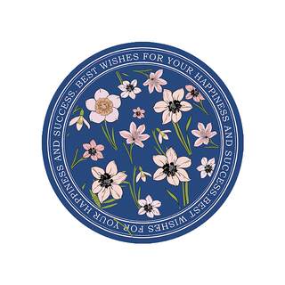 餐盘垫轻奢高级感防滑家用隔热垫防烫餐垫硅藻泥圆形吸水杯垫子